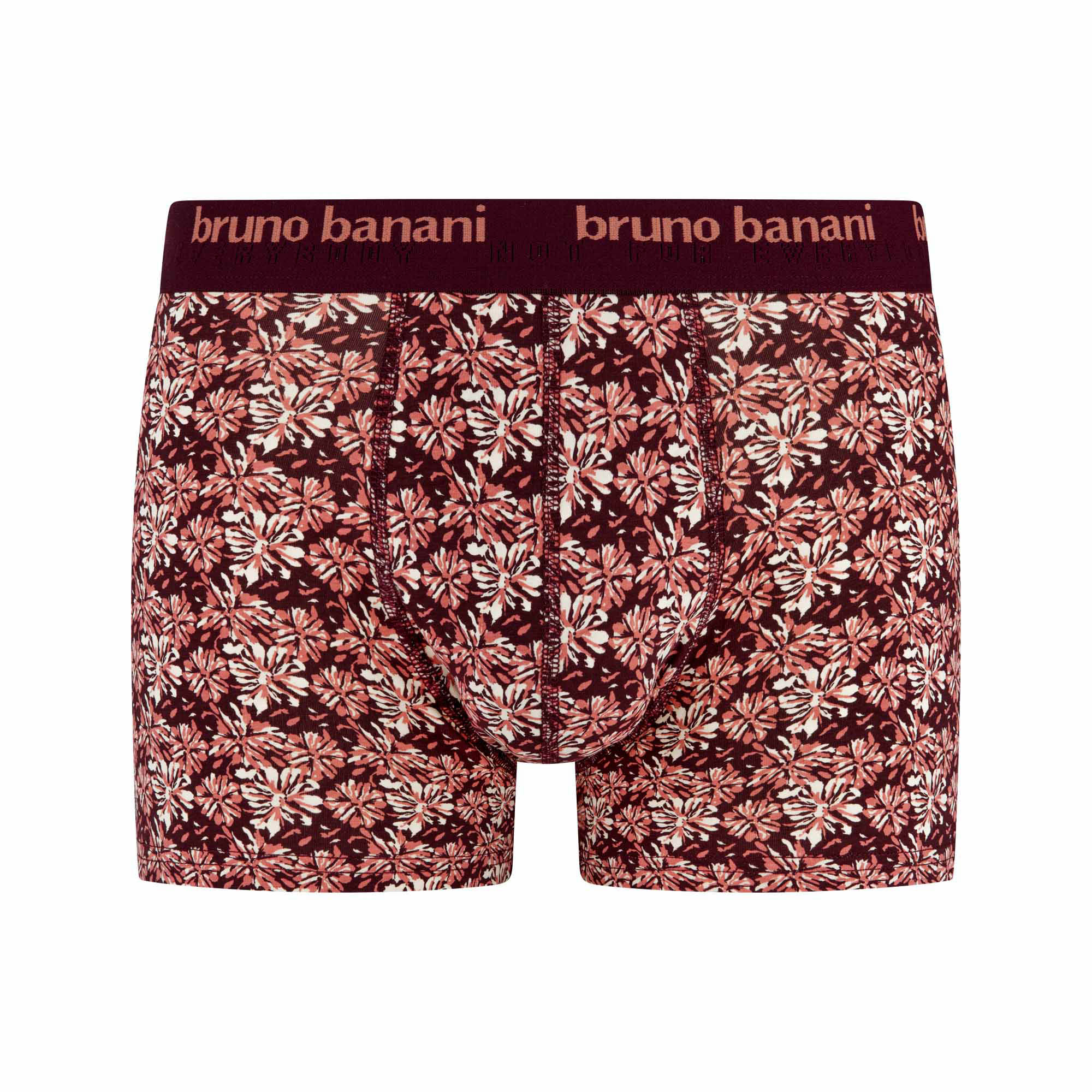 Bekleidung, Kurze Hosen, Kastanienbraun