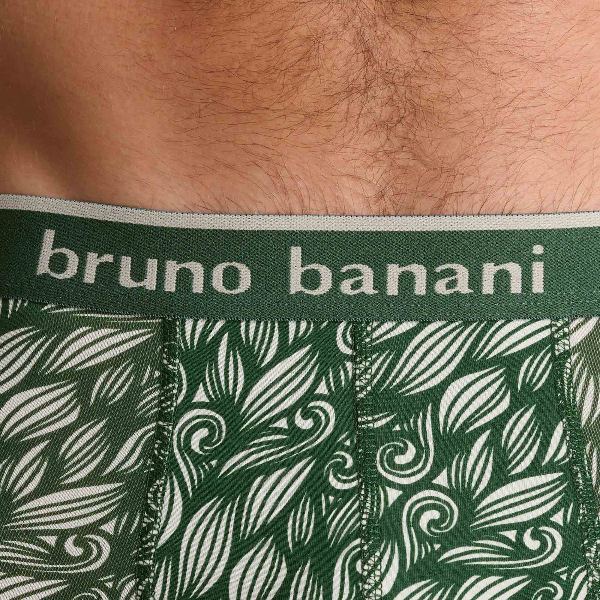 unterwäsche, grün, muster, bruno banani, elastischer bund
