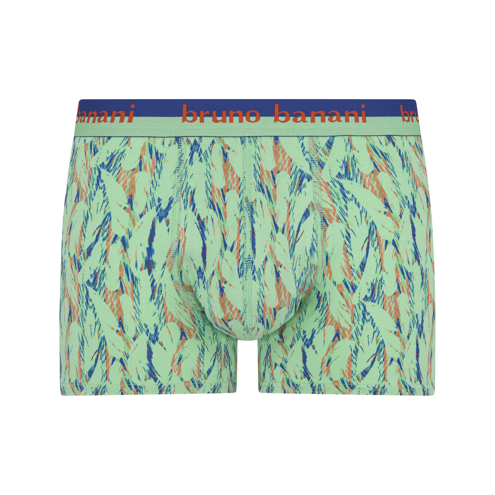 Short print Indian Dream