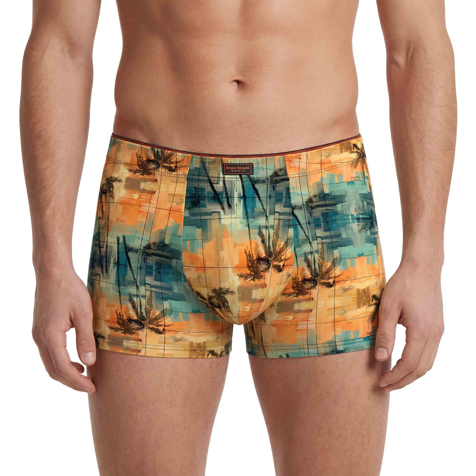 Herren-Boxershorts, Bunt, Palmenmuster, Abstraktes Muster