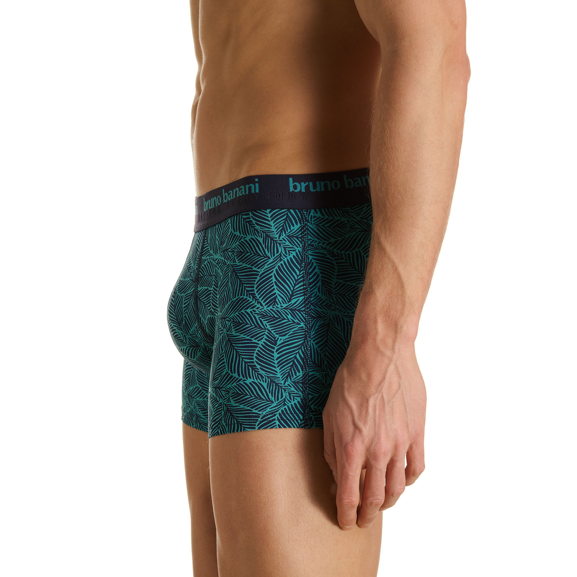 Boxer, Underwear, Muster, Blätterdruck, Shorts