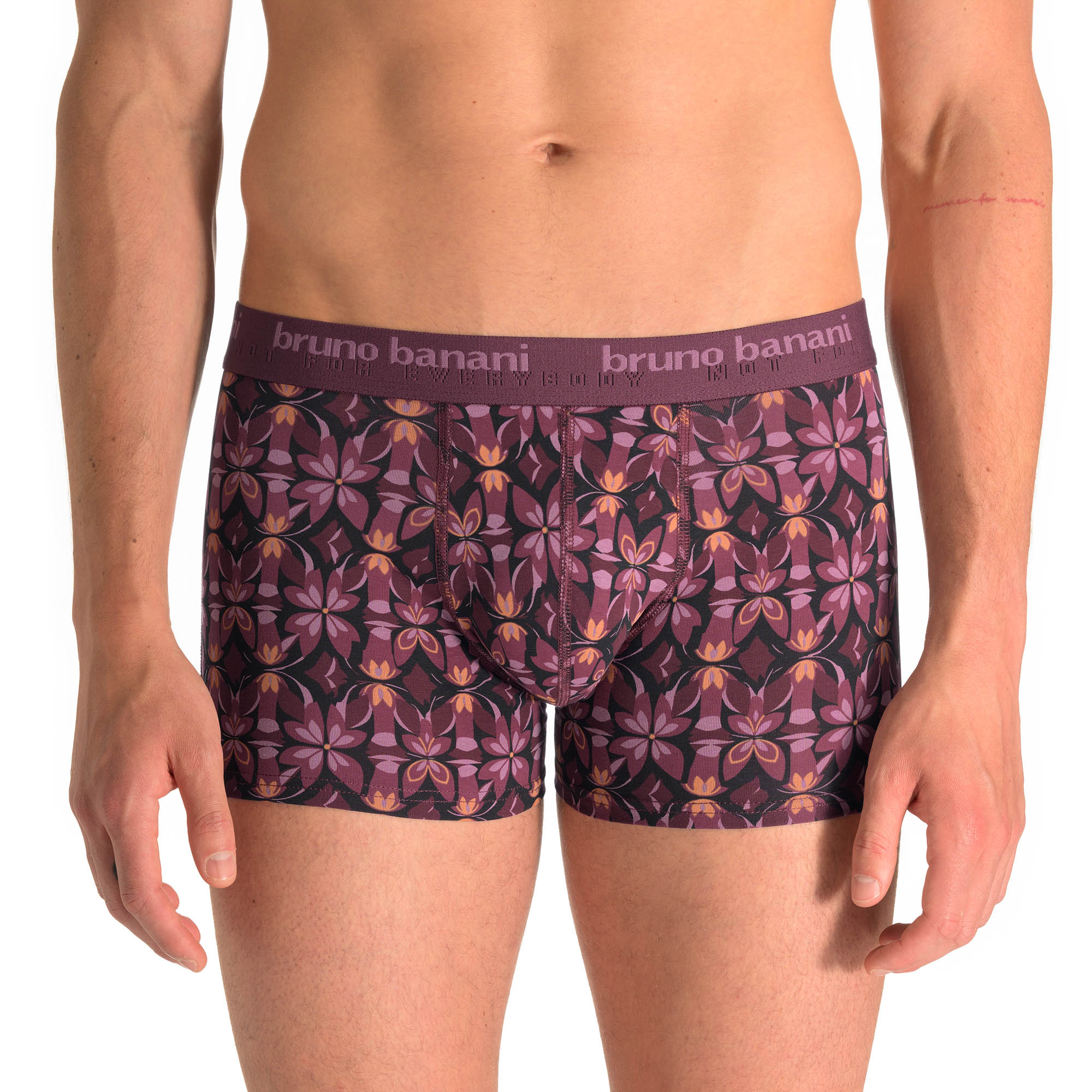 Bekleidung, Unterwäsche, Kurze Hosen, Dessous