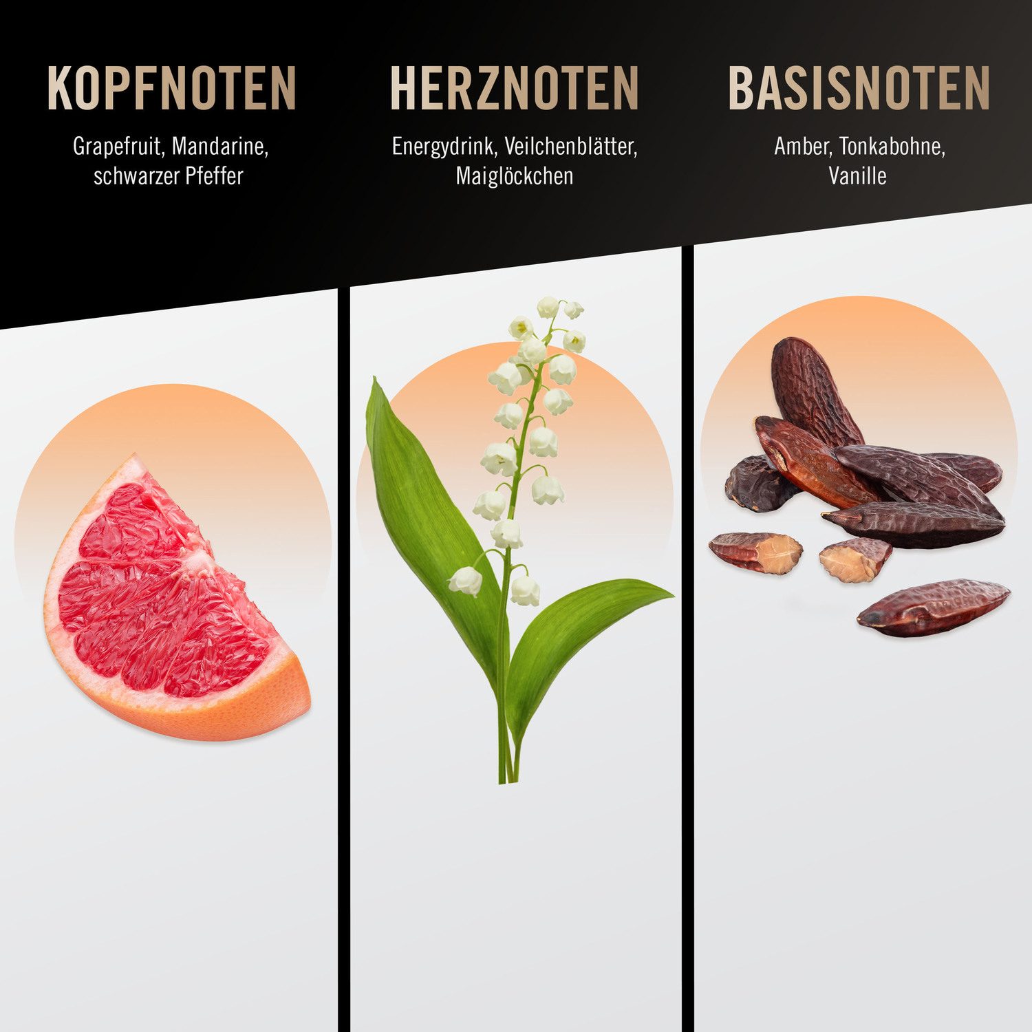 Absolute Man Eau de Toilette 30 ml Absolute Man Eau de Toilette 30 ml