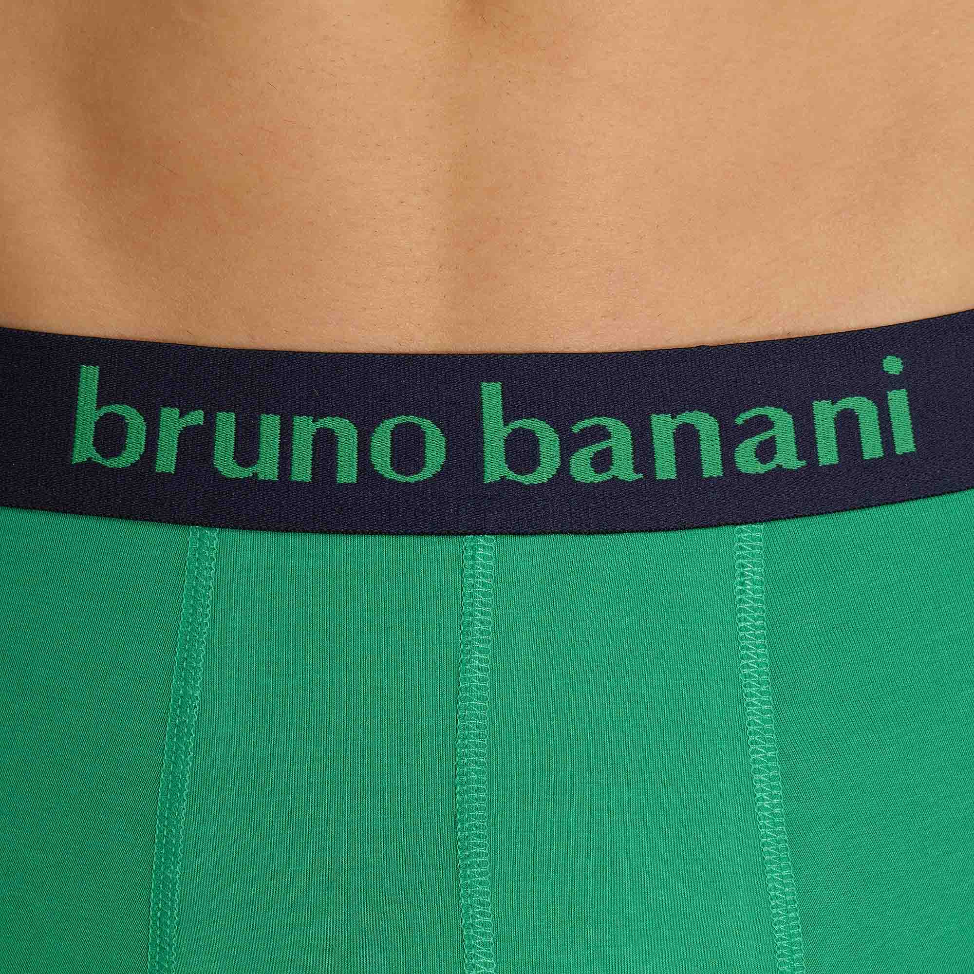 grüne hose, grüner stoff, elastischer bund, bruno banani, Nahtführung