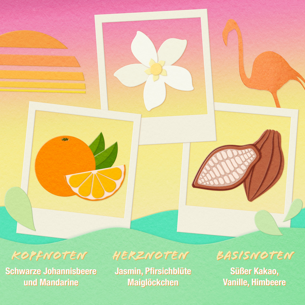 früchte, orange, kakao, kokos, flamingo