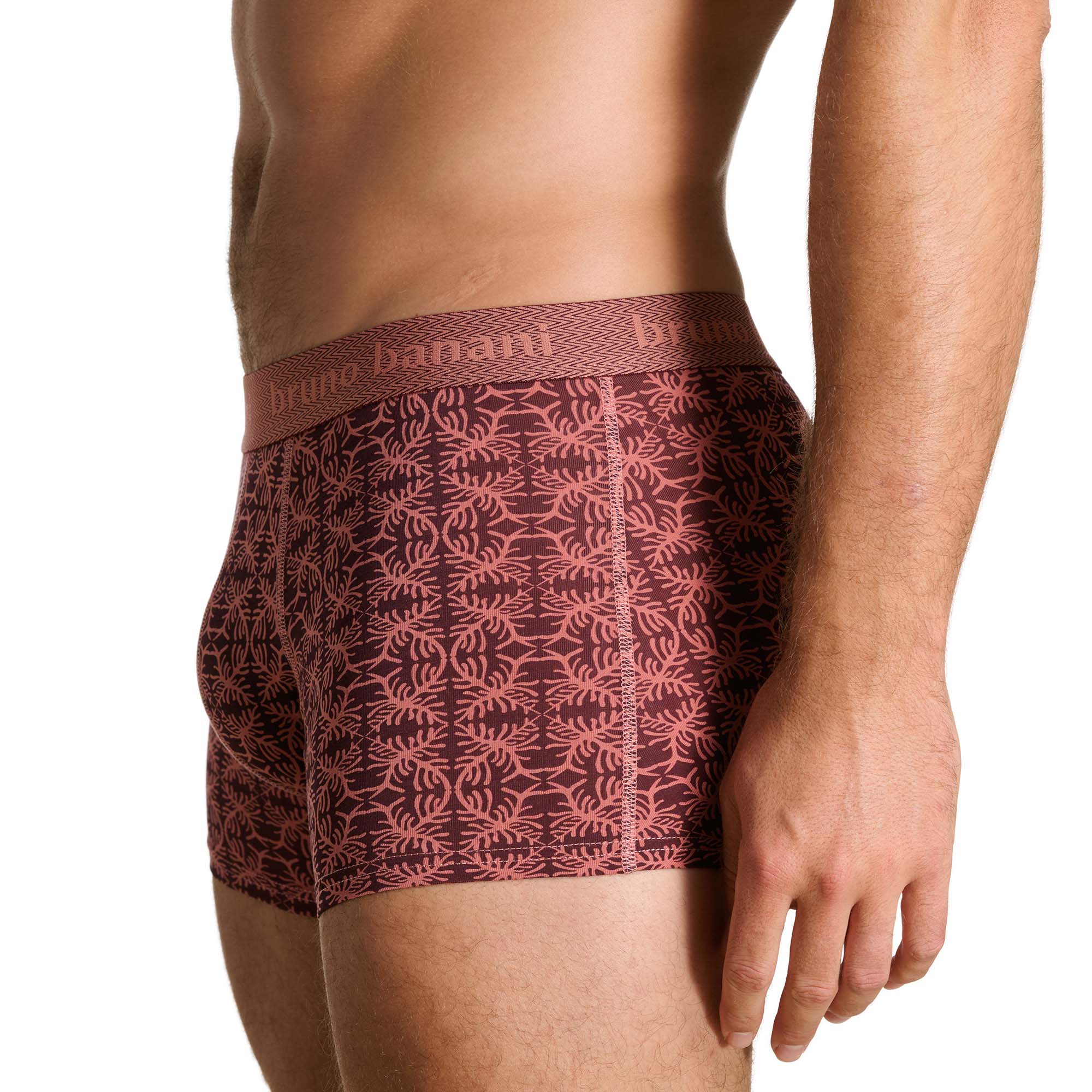 Bekleidung, Unterwäsche, Kurze Hosen, Dessous