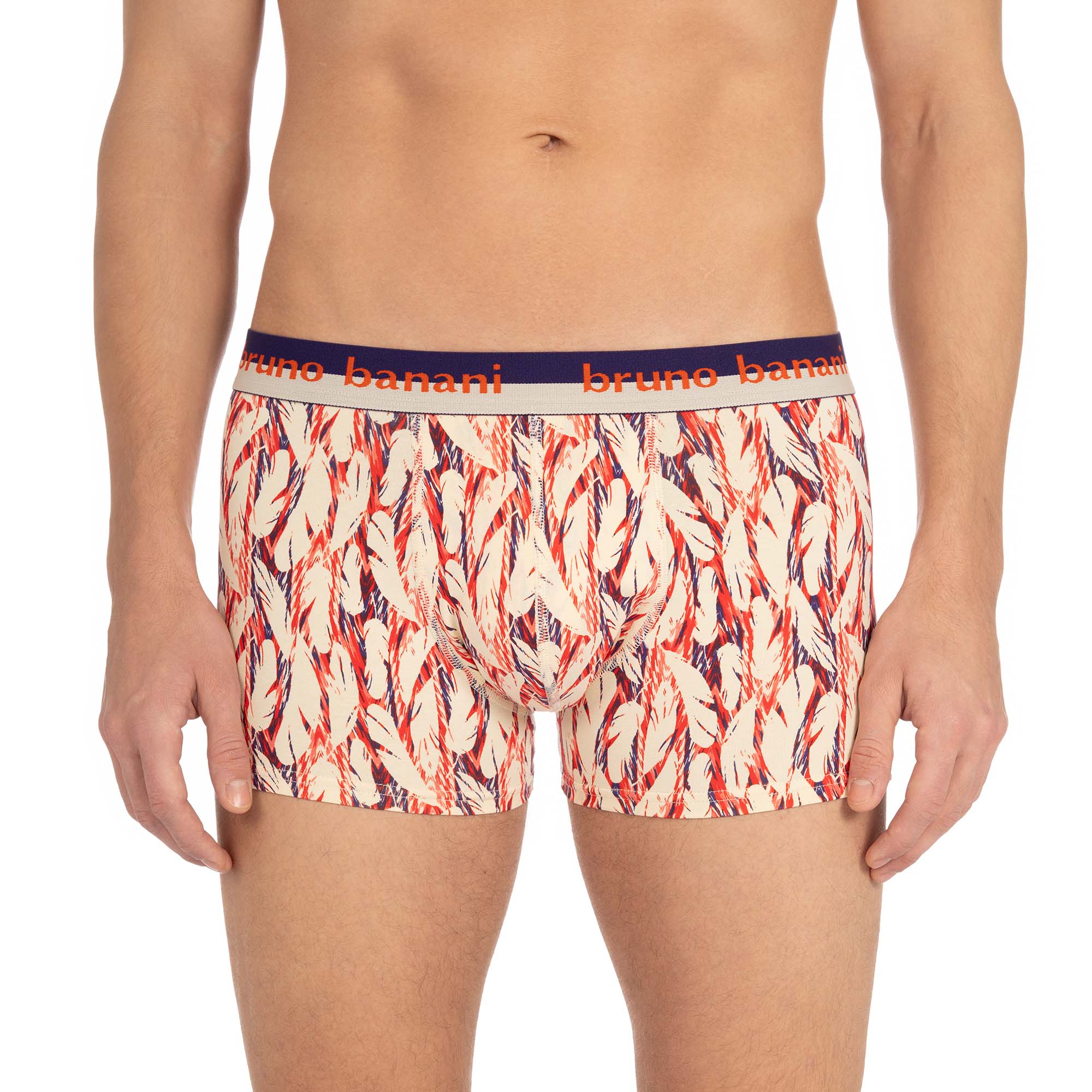 Short print Indian Dream Short print Indian Dream