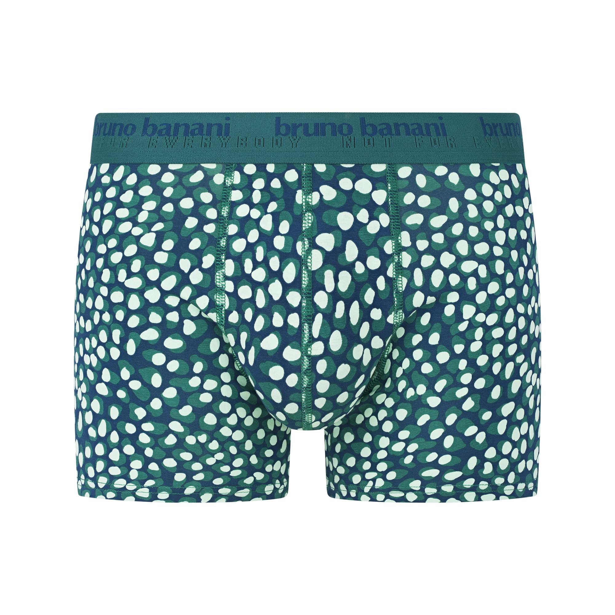 Bekleidung, Kurze Hosen, Unterwäsche, Badehose