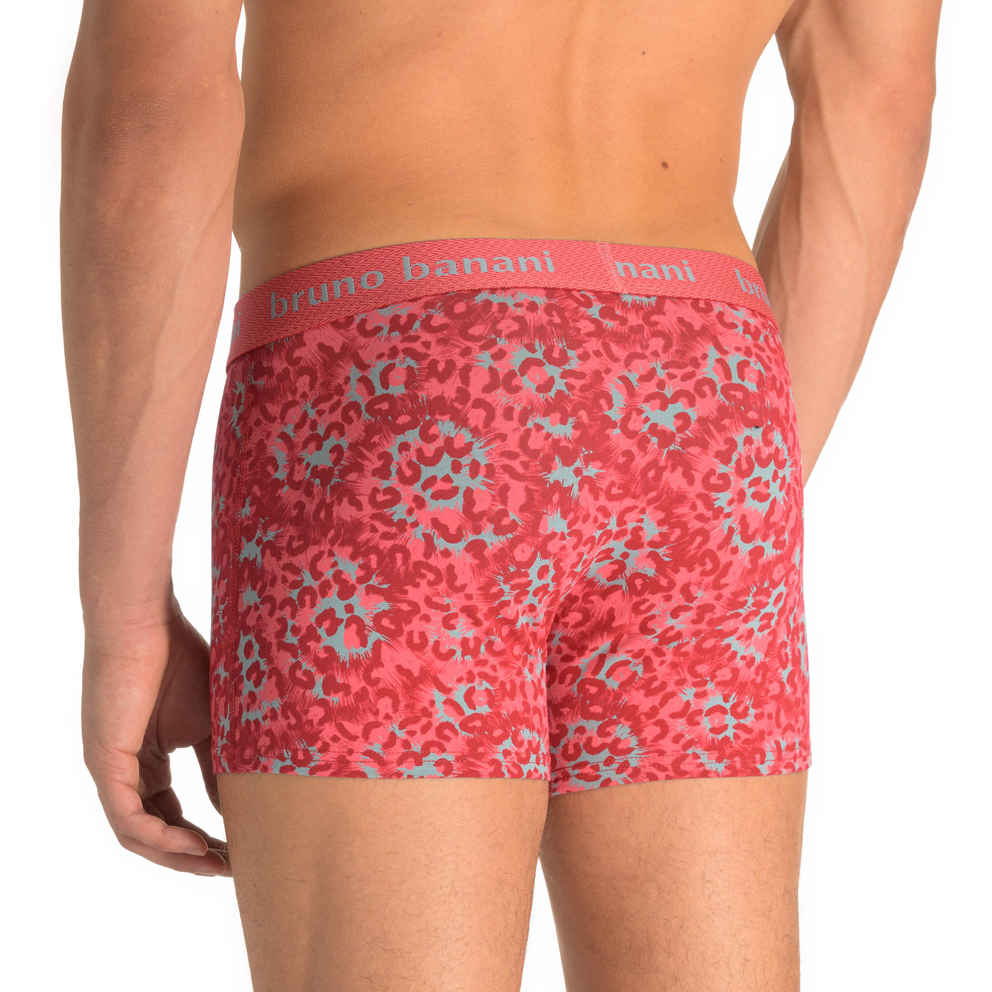 Bekleidung, Unterwäsche, Bademode, Dessous