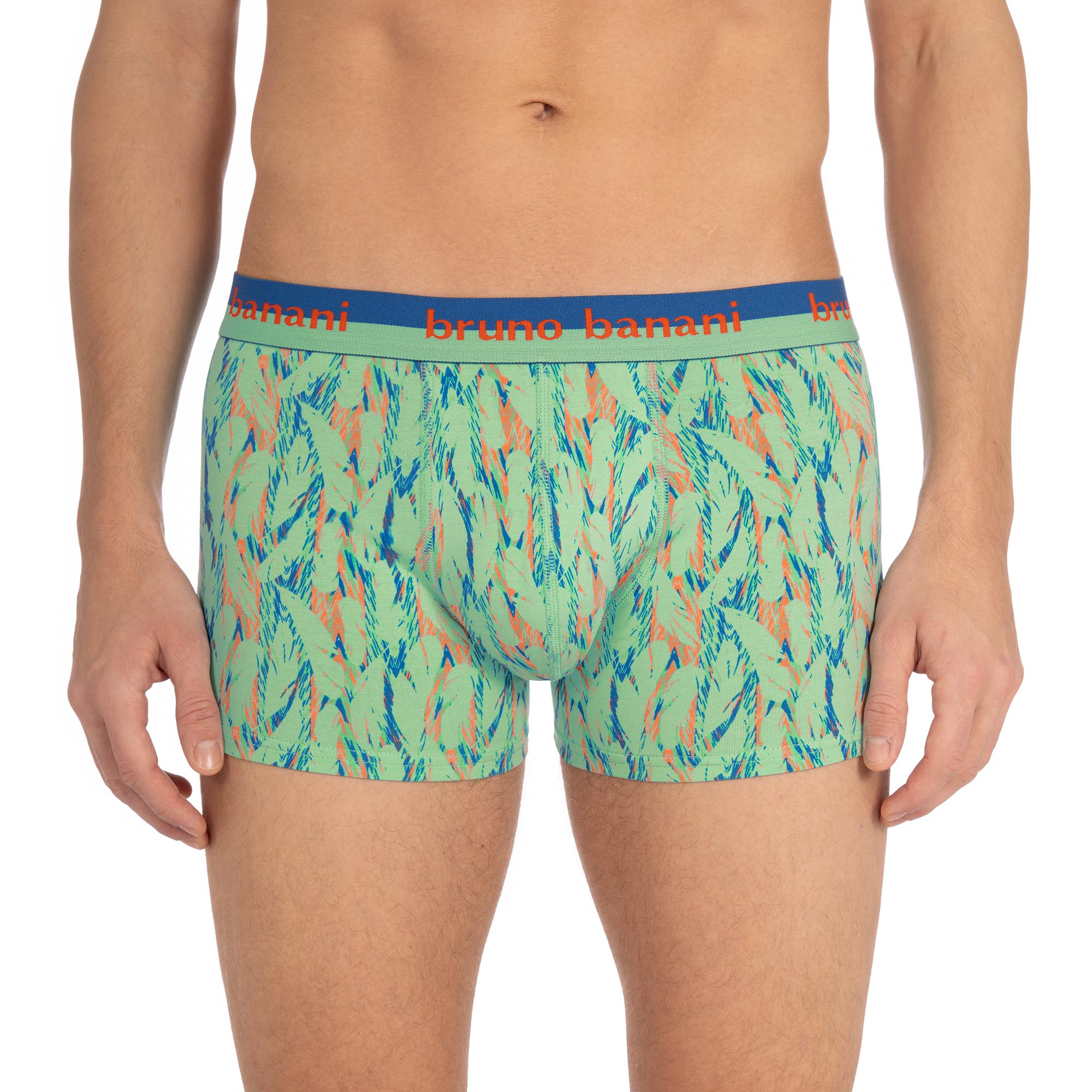 Short print Indian Dream Short print Indian Dream