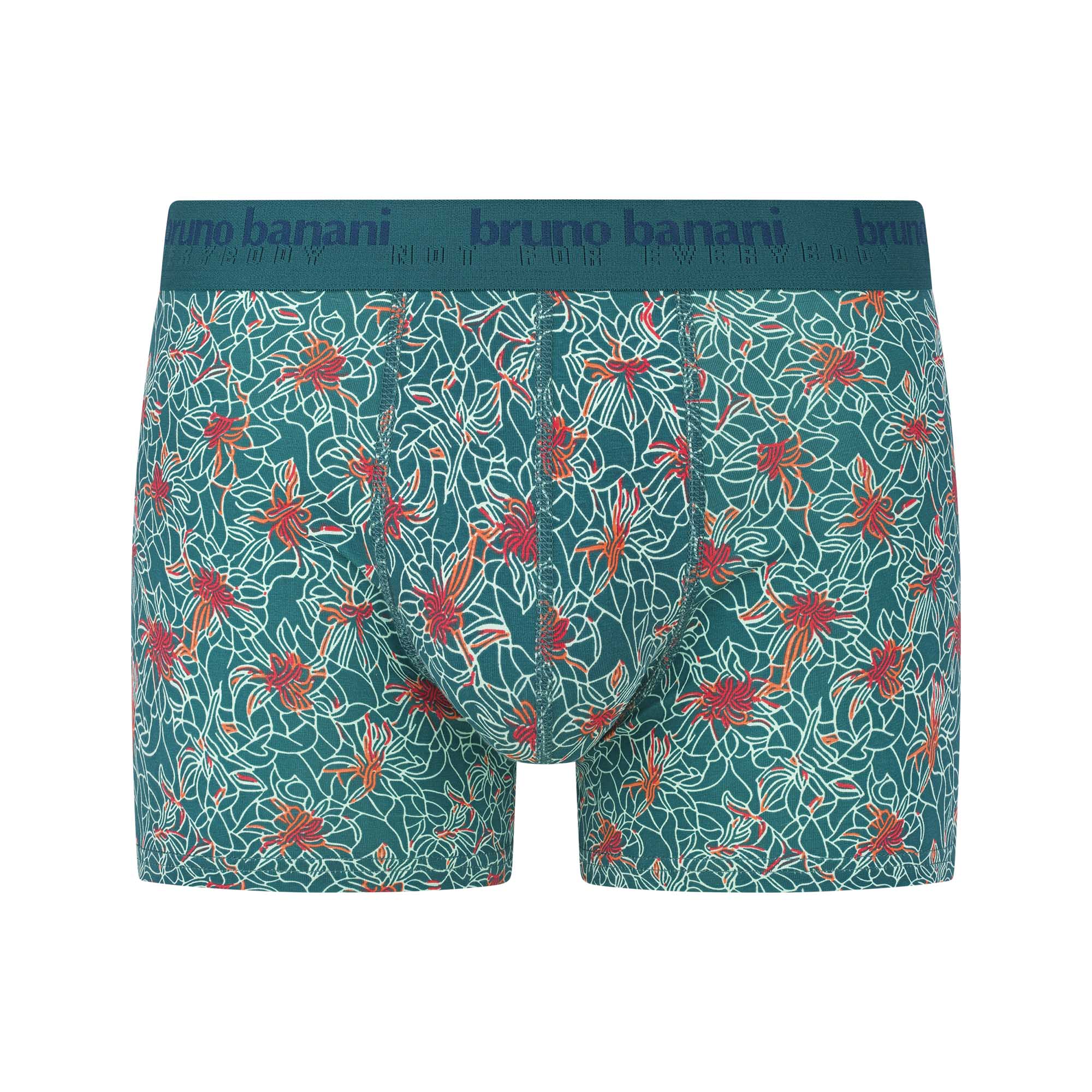 Bekleidung, Unterwäsche, Badehose
