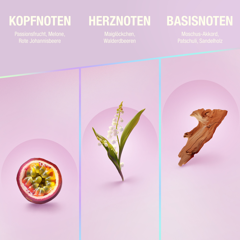 Fruchthälfte, Blütenzweig, Holzstück, Pastellhintergrund, 3-teiligeCollage