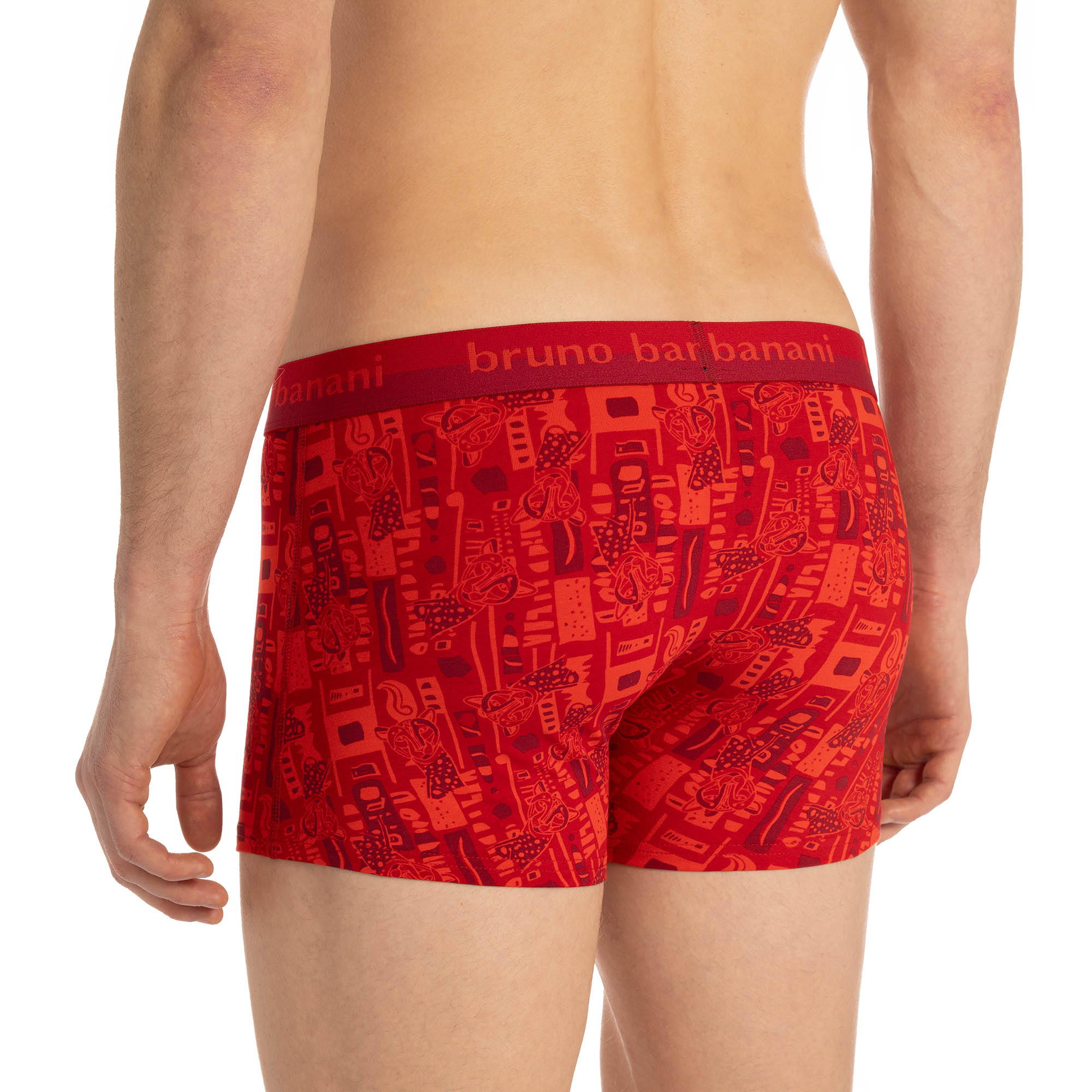 Short print Amazed Bekleidung, Unterwäsche, Kurze Hosen, Dessous