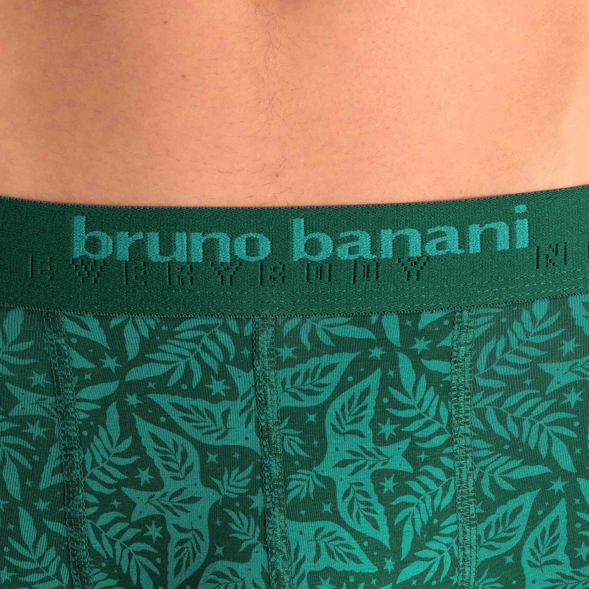 boxer shorts, grün, gemustert, Elastikbund, bruno banani