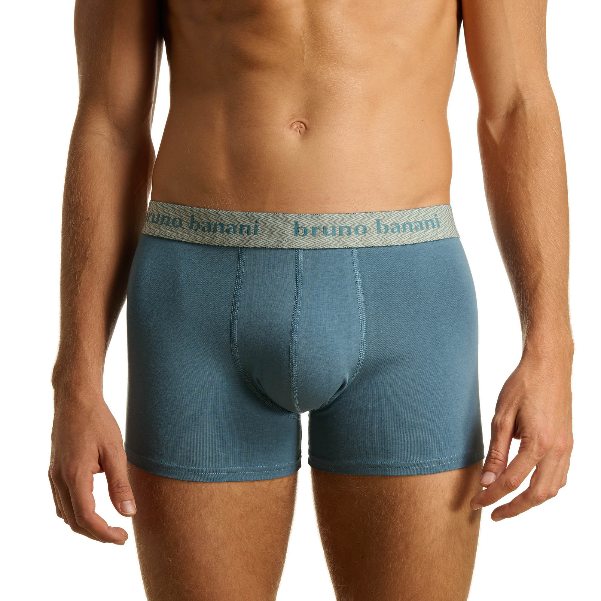 Boxer, Boxer briefs, Underwear, Blue, Elastic waistband