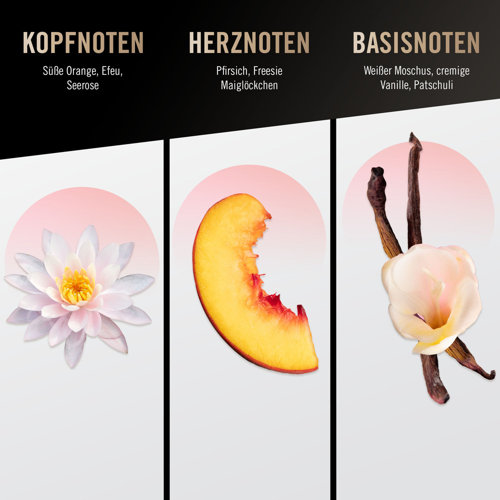 Blume, Pfirsich, Pfirsichschnitte, Vanille, Mode-Layout