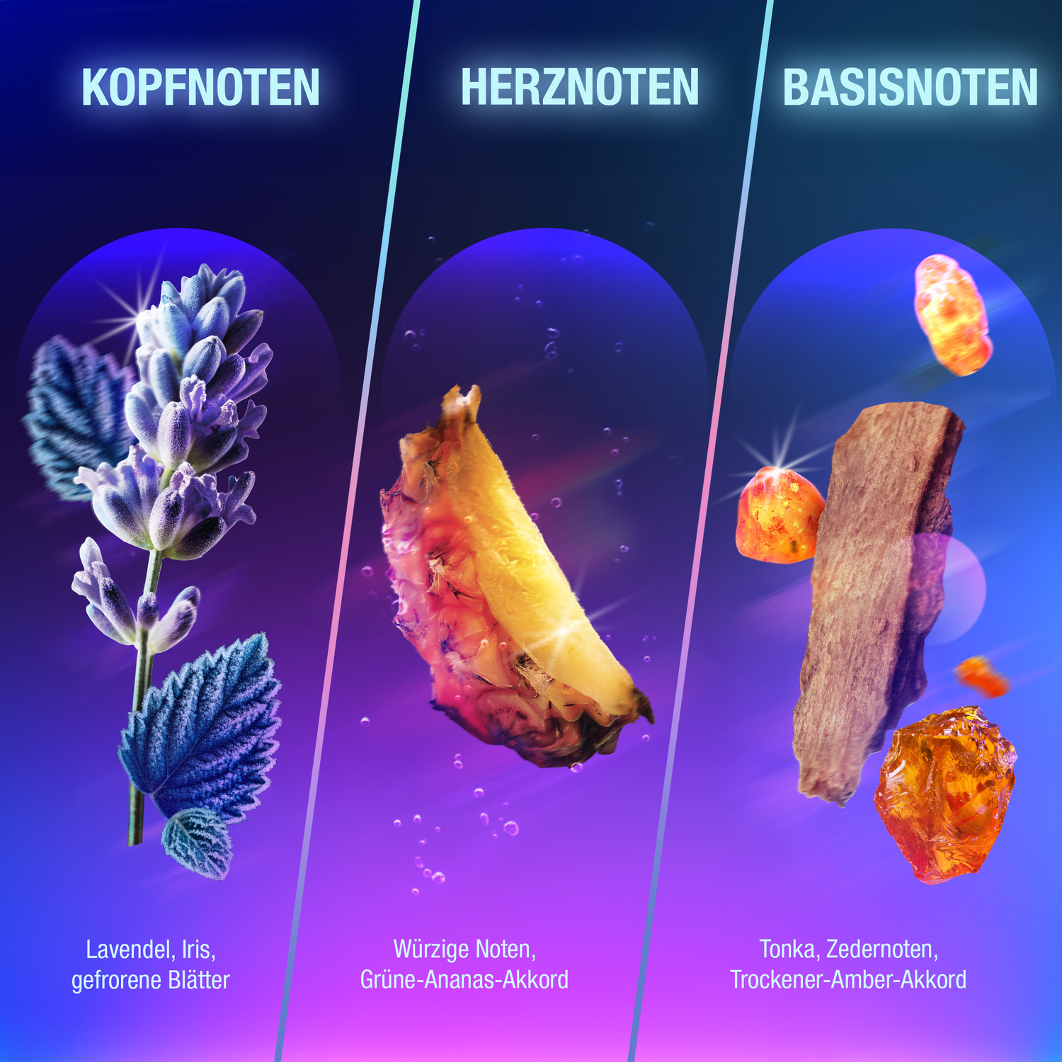 Werbung, Pflanze