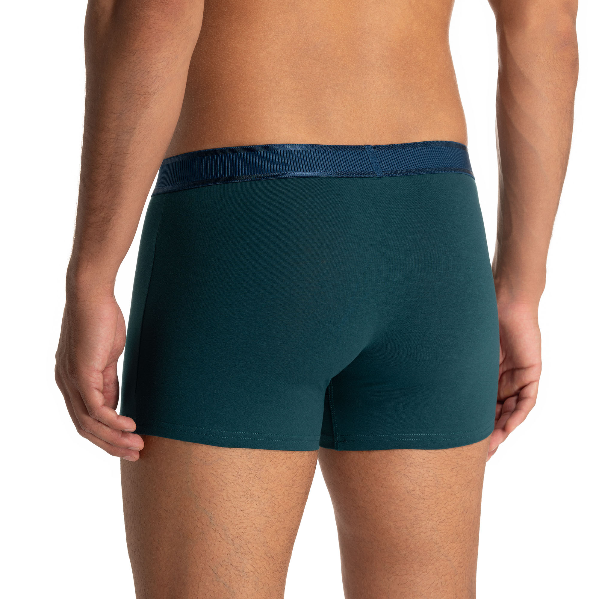Short 2Pack Scallop