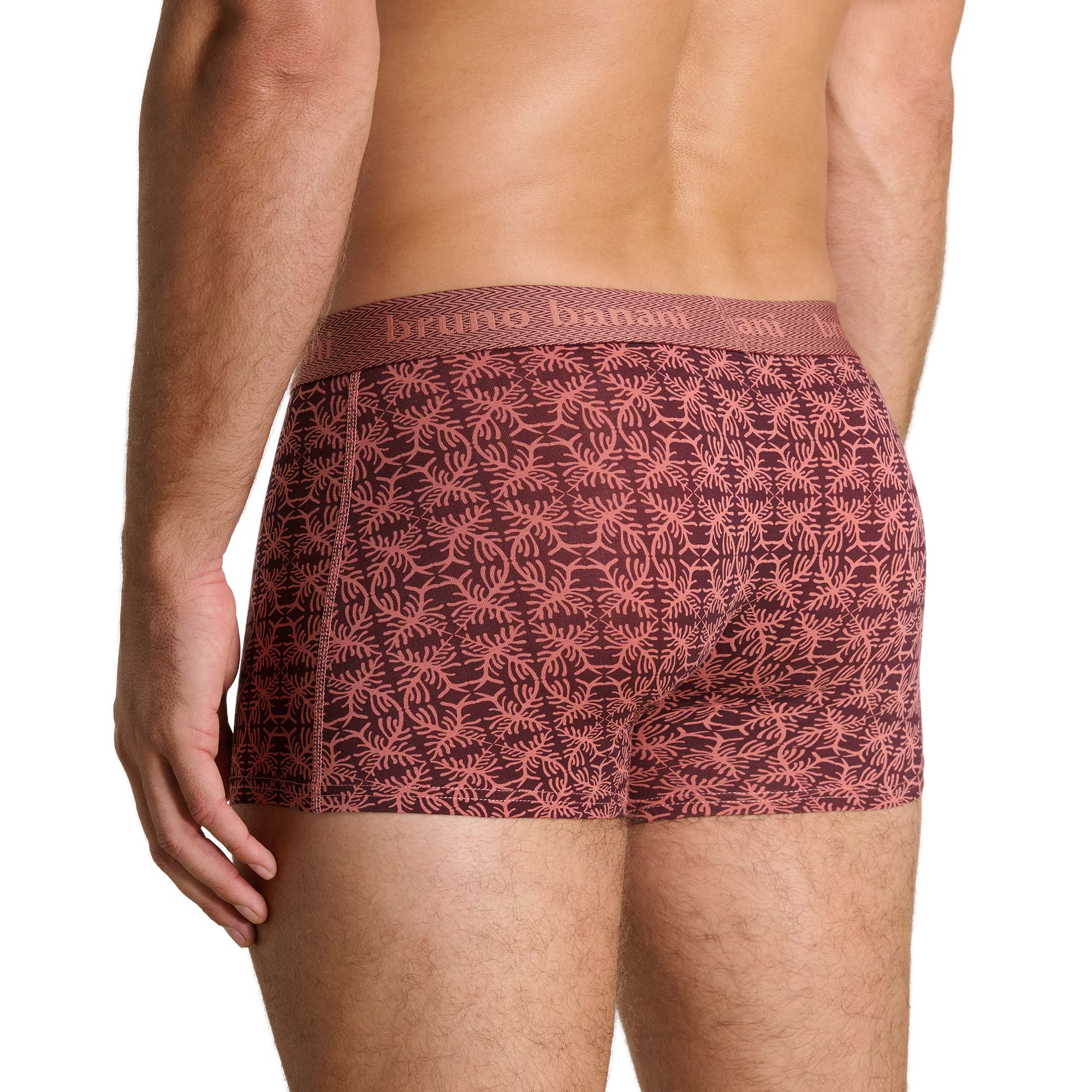 Bekleidung, Unterwäsche, Kurze Hosen, Dessous