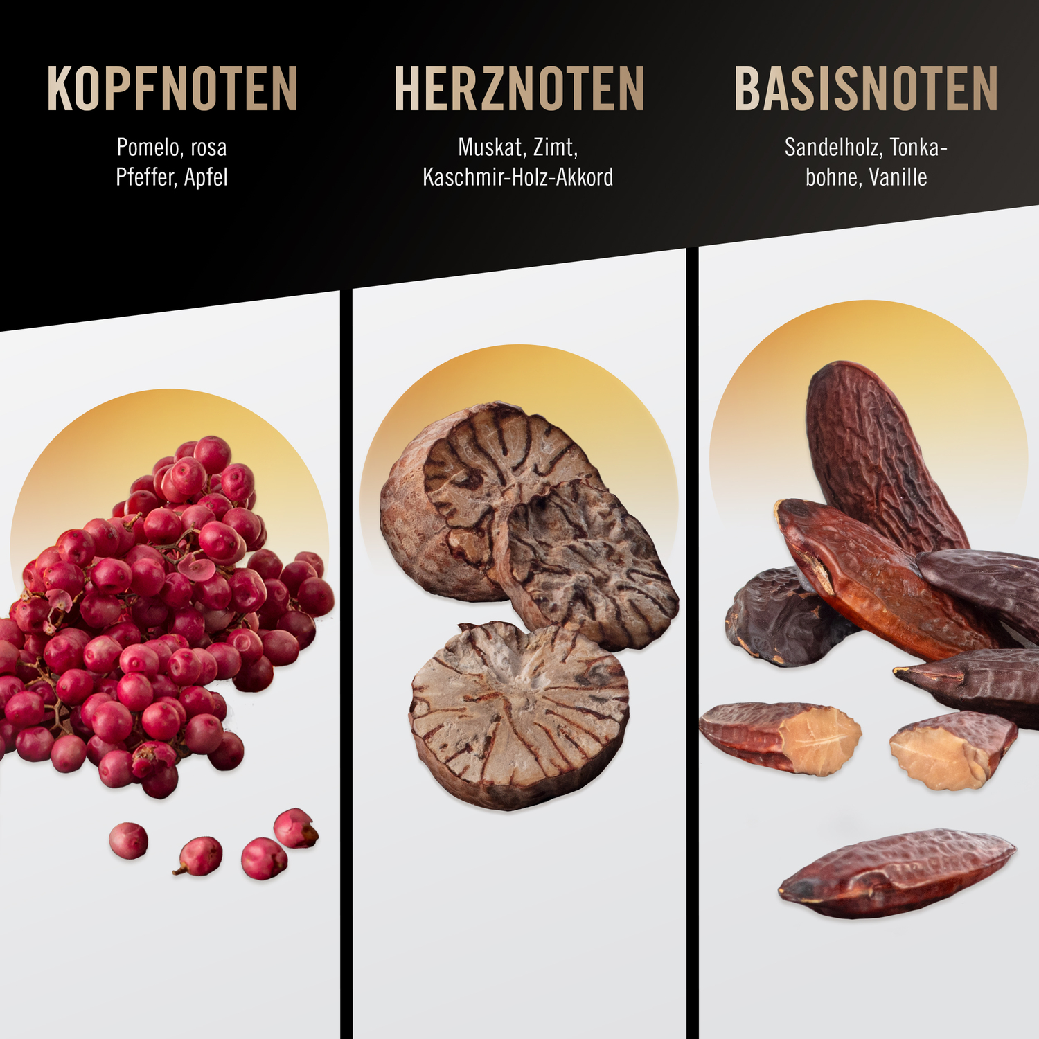 Mans Best Shower Gel  250 ml Mans Best Shower Gel  250 ml