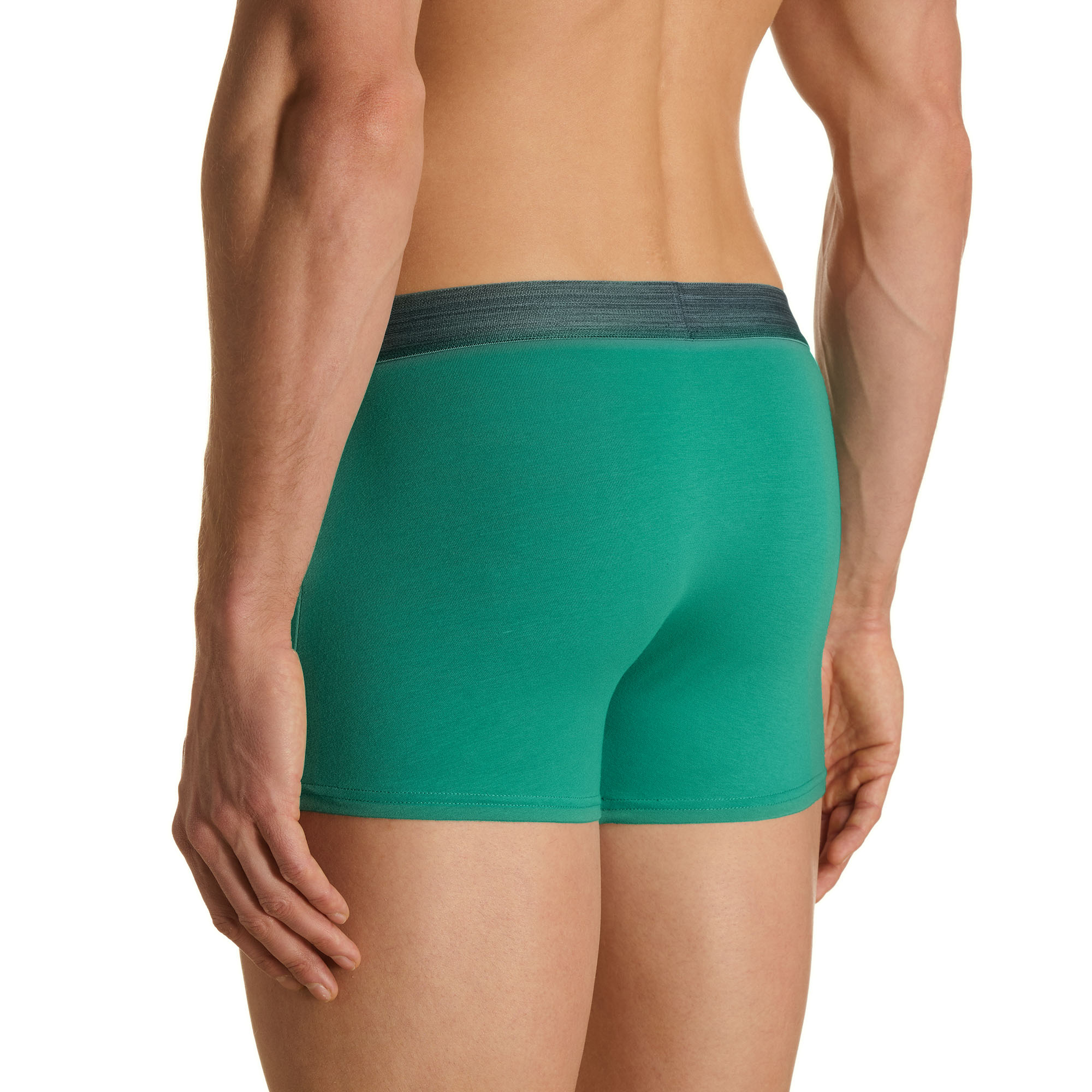 kurze_hose, boxer, grün, herren, elastischer_bund