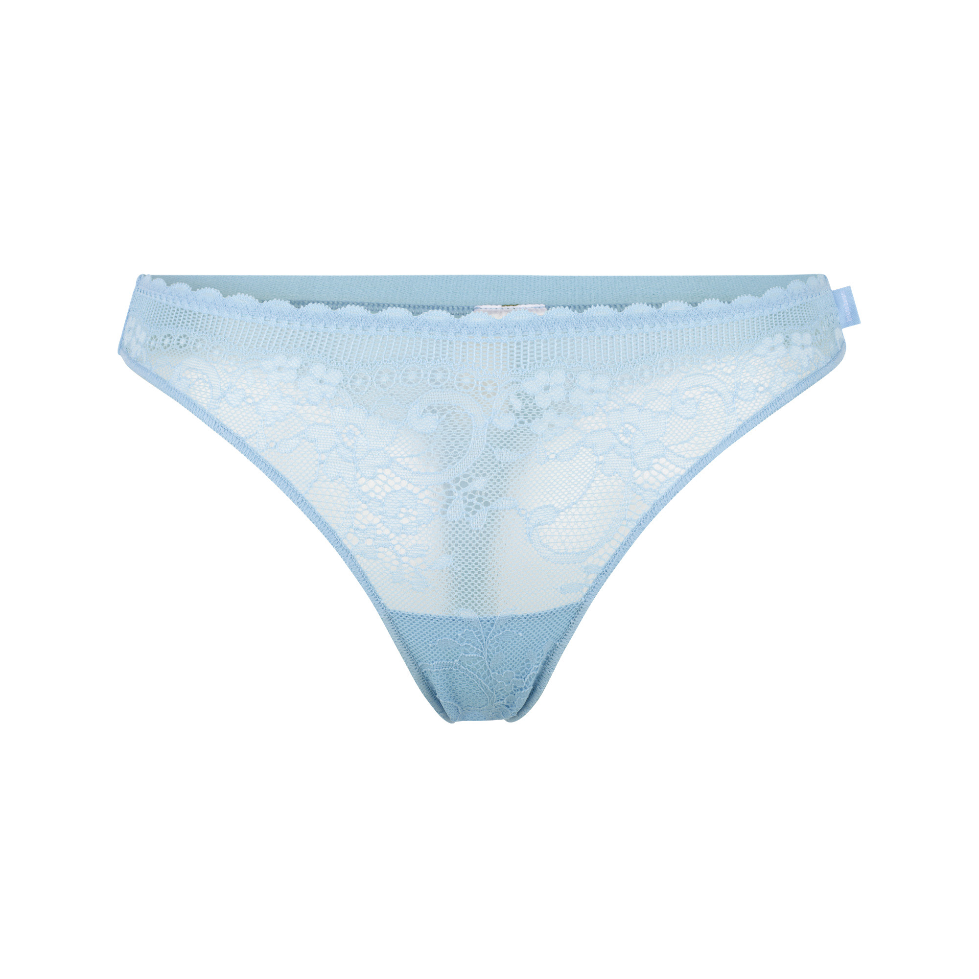 Slip, Spitzen, Underwear, Netz, Blau
