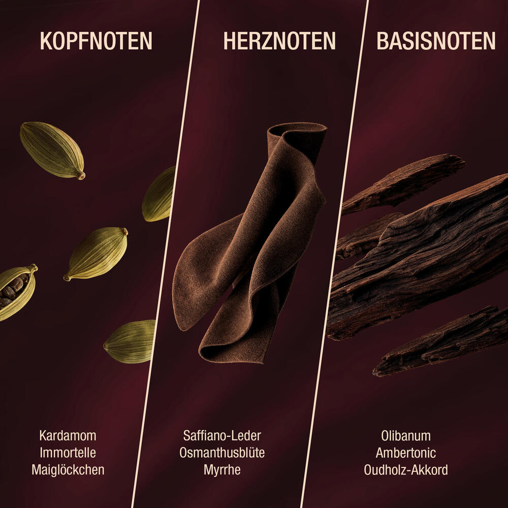Kardamom, Saffiano-Leder, Olibanum?, Ambertonic, Oudholz-Akkord