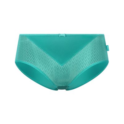 Unterwäsche, Slip, Höschen, Glänzender Stoff, Türkis