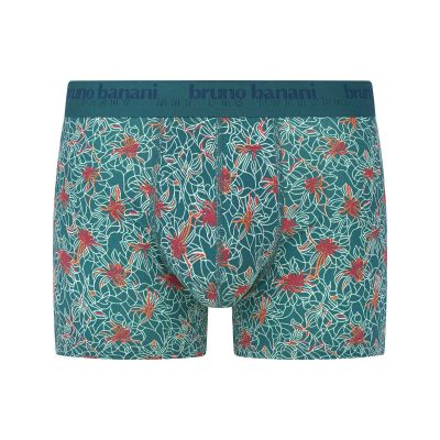 Bekleidung, Unterwäsche, Badehose